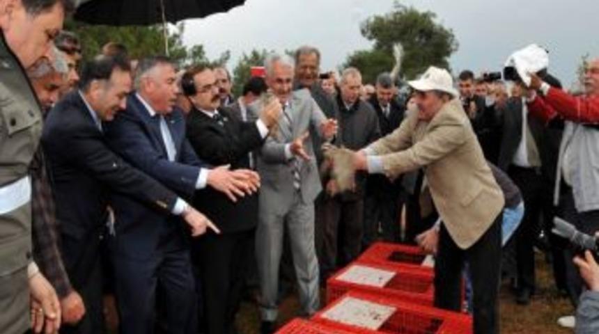 Doğaya Bin Keklik Salındı