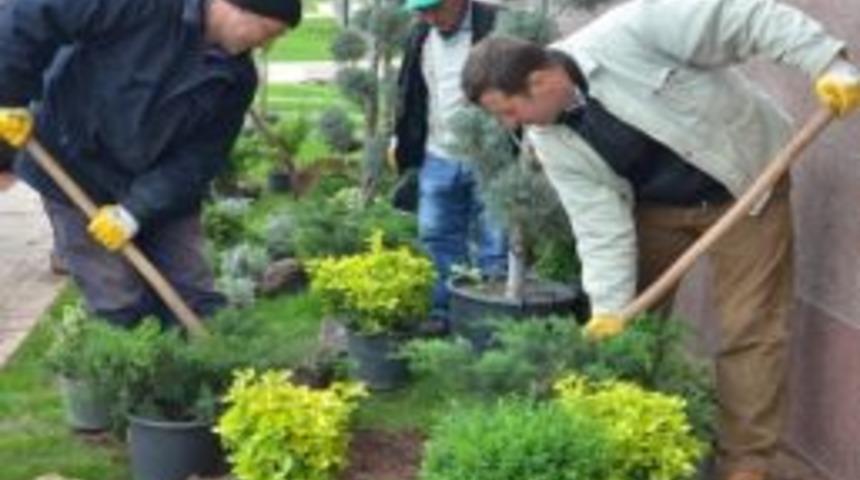 Esog&uuml; Meşelik Yerleşkesi G&uuml;zelleşiyor