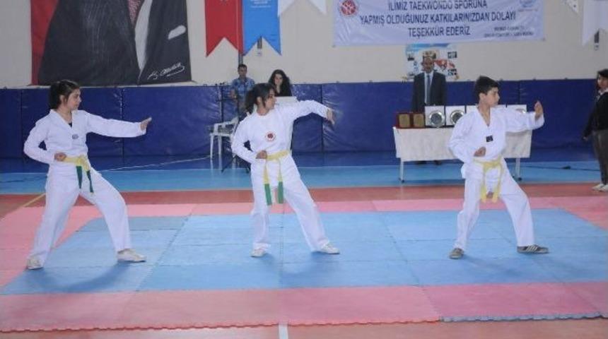 Tekvando &Ouml;d&uuml;l T&ouml;reni