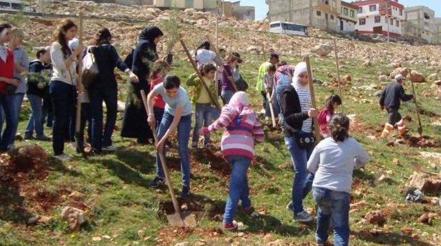 Suriyeli &Ouml;ğrencilerden Hatıra Ormanı
