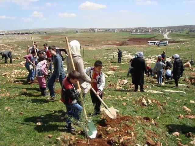 Suriyeli Öğrencilerden Hatıra Ormanı 1