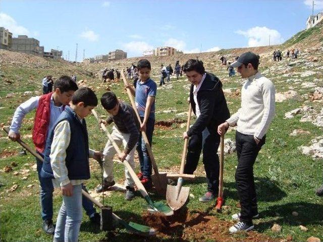 Suriyeli Öğrencilerden Hatıra Ormanı 2