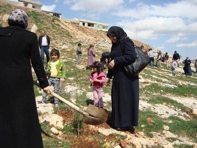 Suriyeli &Ouml;ğrencilerden Hatıra Ormanı 3