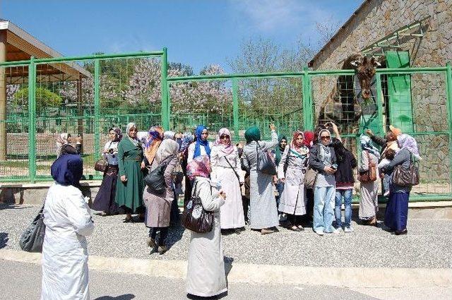 Samsatlı Bayanların Gezisi Devam Ediyor 1