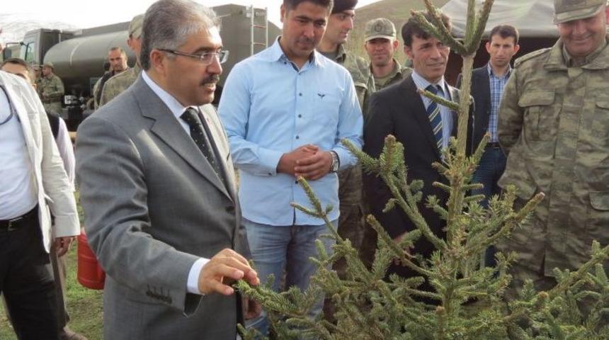 Muş'ta G&uuml;l'&uuml;n Ziyaretinin Anısına 5 Bin Fidan Dikildi