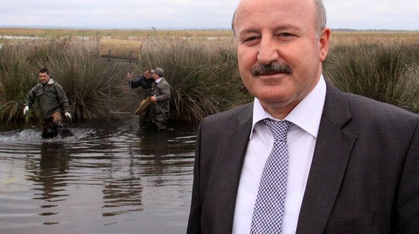 Cennette Üreyecek Kuşları, Yırtıcılardan Sazlıktan Yuvalar Koruyacak