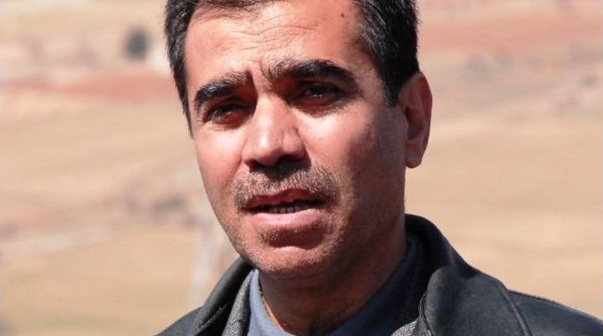 G&ouml;t&uuml;rler: "ekin&ouml;z&uuml;&rsquo;nde 15 G&uuml;nde 250 Bin Fidan Dikildi"