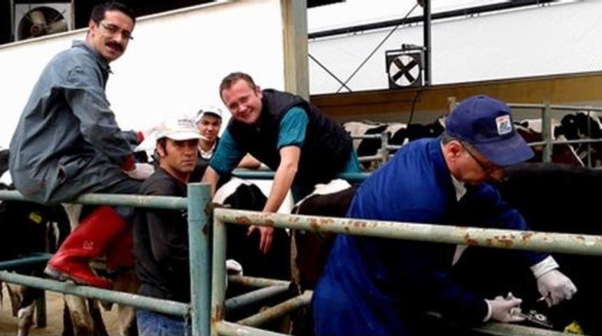 Aydın&rsquo;ın Hastalıktan Ari 9205 Hayvanı Var