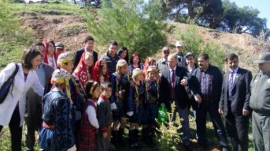 G&uuml;mele Ortaokulu &Ouml;ğrencileri 110 Adet Ağa&ccedil; Fidanı Dikti