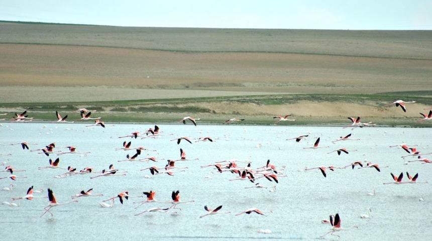 Kuruduğu I&ccedil;in Kuşların Terk Ettiği D&uuml;den G&ouml;l&uuml; Yeniden Eski Ihtişamına Kavuşuyor