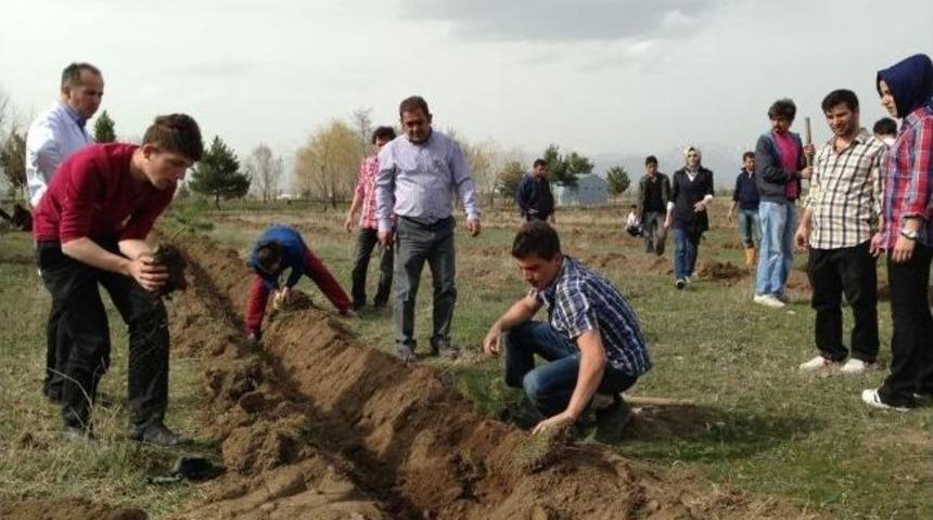 &Uuml;niversite &Ouml;ğrencileri 2 Bin Adet Fidanı Toprakla Buluşturdu