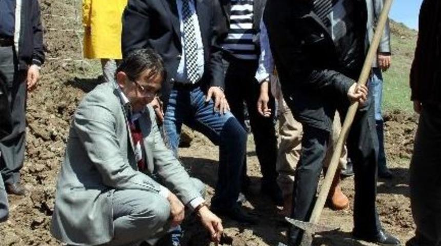 Suşehri&rsquo;nde İki Bin &Uuml;z&uuml;m Fidanı Dikildi