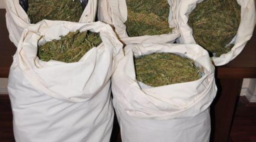 Alanya'da 87 Kilogram Esrar Ele Ge&ccedil;irildi