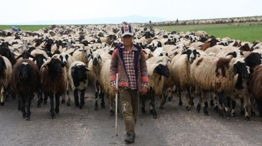 G&ouml;&ccedil;erlerin D&ouml;n&uuml;ş Yolculuğu Başladı