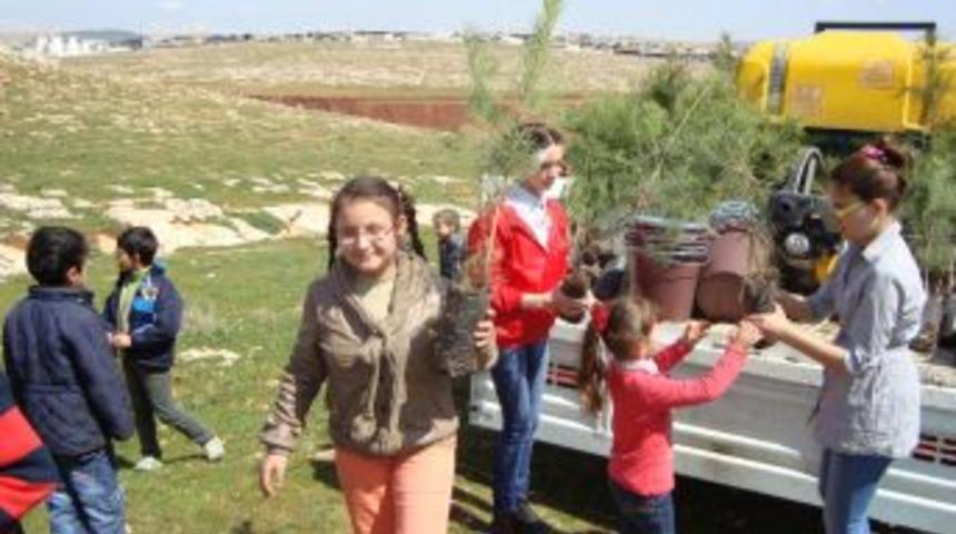 Suriyeliler Ilgiye Karşılıksız Kalmadı, &lsquo;Memnuniyet Ormanı&rsquo; Oluşturdu