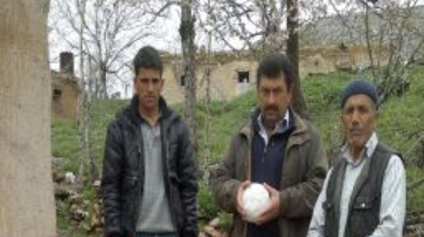 Elbistan&rsquo;da Kayısıyı Dolu Vurdu