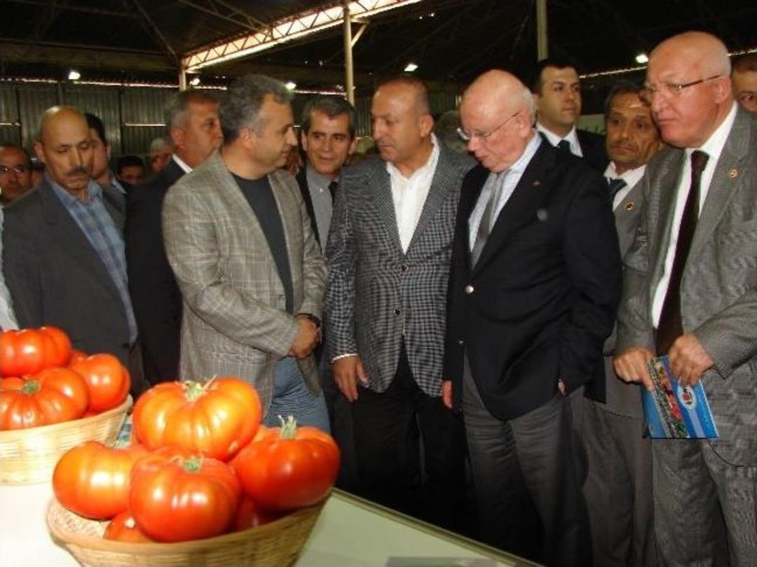 Hasyurt Tarım Fuarı A&ccedil;ıldı