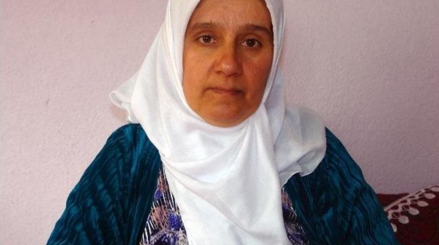 T&uuml;rkiye, Ormancık Korucuları İ&ccedil;in 805 Bin Euro Tazminat &Ouml;deyecek