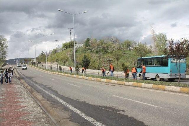 Bingöl’de ‘cumhurbaşkanı’ Seferberliği