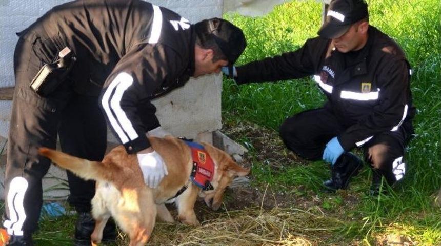 &ldquo;ezel&rdquo; Toprağa Gizlenmiş Esrar&rsquo;ı Buldu