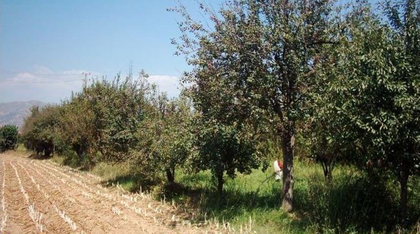 Arazi Toplulaştırmasında 3 Yerleşim Yerine Daha Onay &Ccedil;ıktı