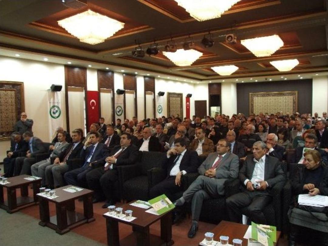 Ricania Simulans Zararlısı Doğu Karadeniz&rsquo;i Tehtit Ediyor