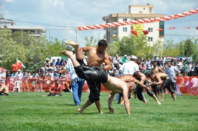 36. Geleneksel Ulukent Yağlı Güreşleri Başlıyor