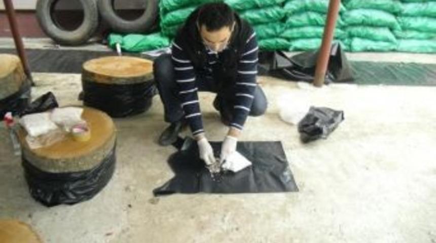 Giresun&rsquo;da İstiridye Mantarı Yetiştirilmeye Başlandı