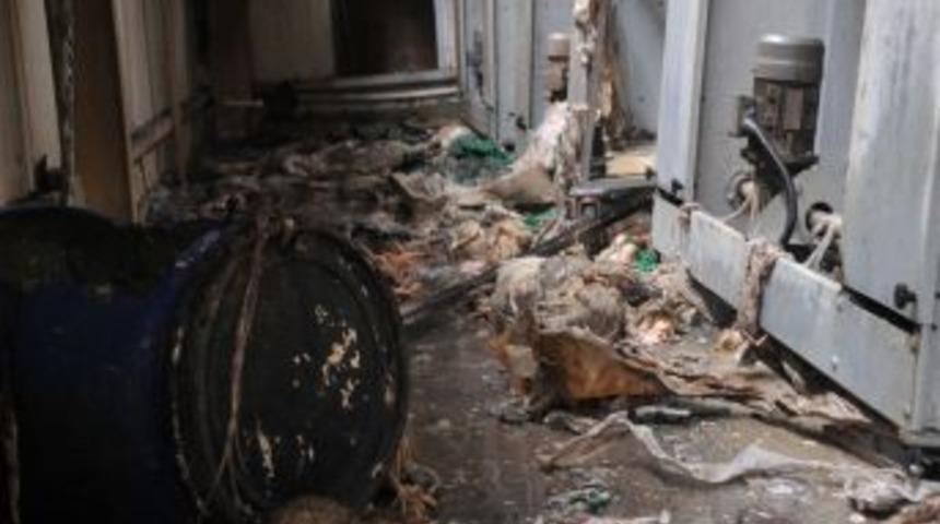 &Ccedil;orum'da &Ccedil;iftlik Yangını: 80 Bin Tavuk Telef Oldu