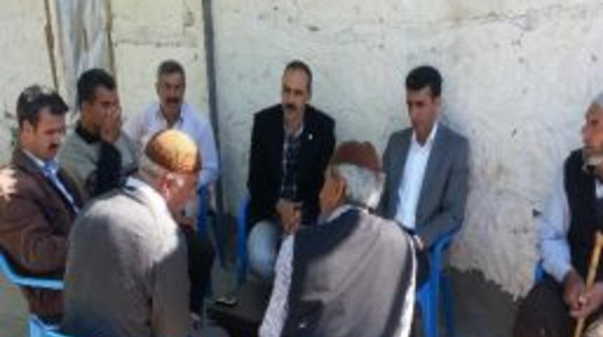 Sincik'te Menengi&ccedil; Ağa&ccedil;ları Aşılanacak