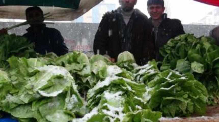 Kış Geri Geldi, Meyve Ve Sebzeler Kar Altında Kaldı