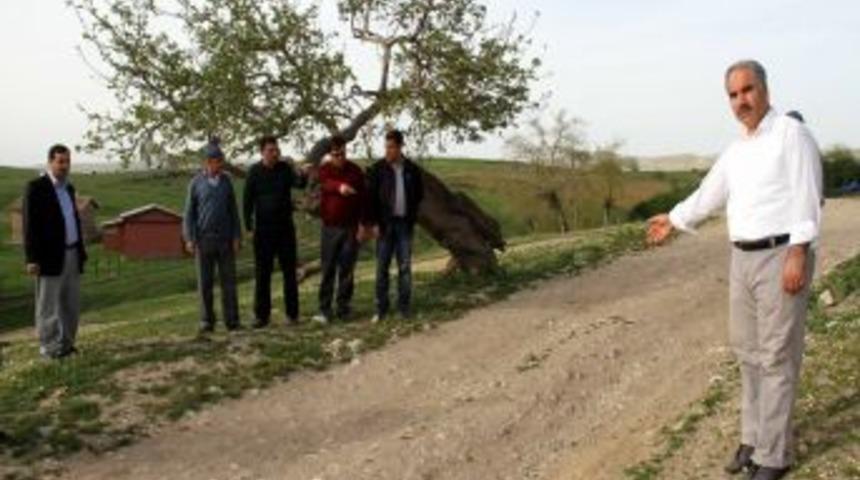 Diyarbakır'daki 770 Sahabe Kabirinden 32'sinin Yeri Biliniyor