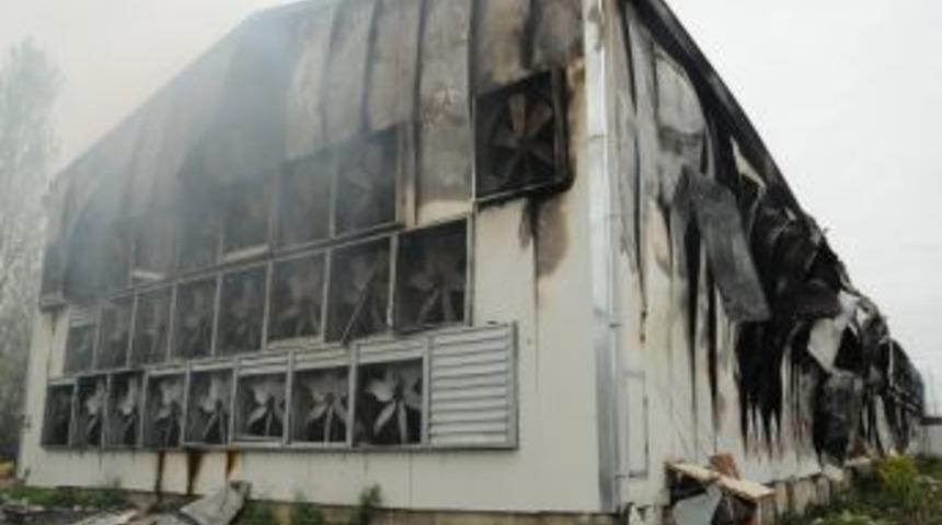 &Ccedil;iftlikte Yangın &Ccedil;ıktı, 80 Bin Tavuk Telef Oldu