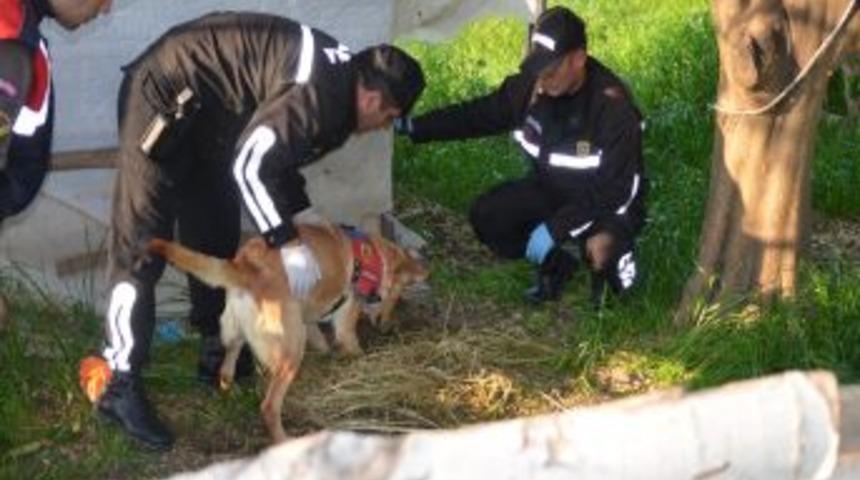 Muğla&rsquo;da Esrar Ele Ge&ccedil;irildi