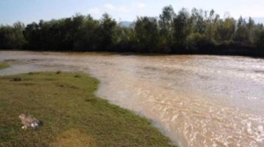 Kanadı Kırık Doğan Artık Emin Ellerde