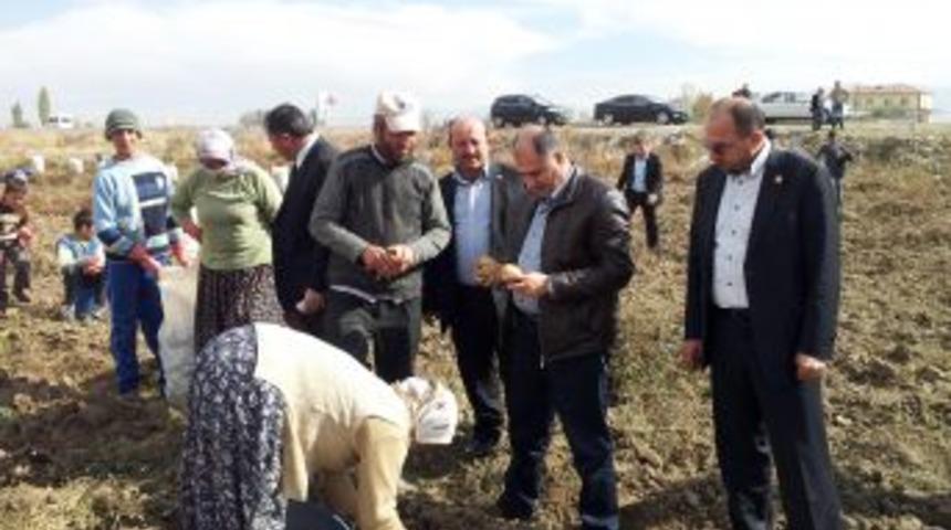 &Uuml;reticinin Elinde Kalan Patatesler 25 Ilde Ihtiya&ccedil; Sahiplerine Dağıtılacak