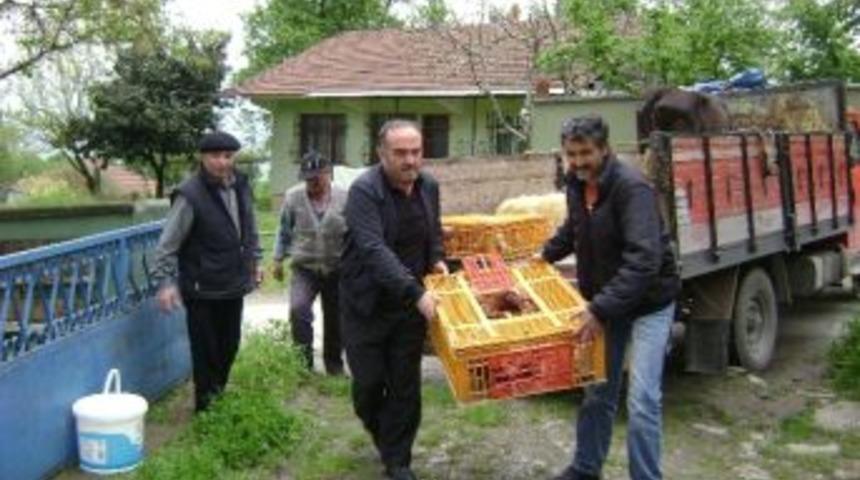 Biz B&uuml;y&uuml;k Bir Aileyiz Derneğinden Yardım