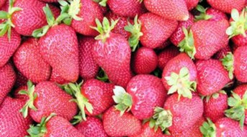Aydın&rsquo;dan Romanya Ve Sırbistan&rsquo;a &Ccedil;ilek İhracatı Başladı