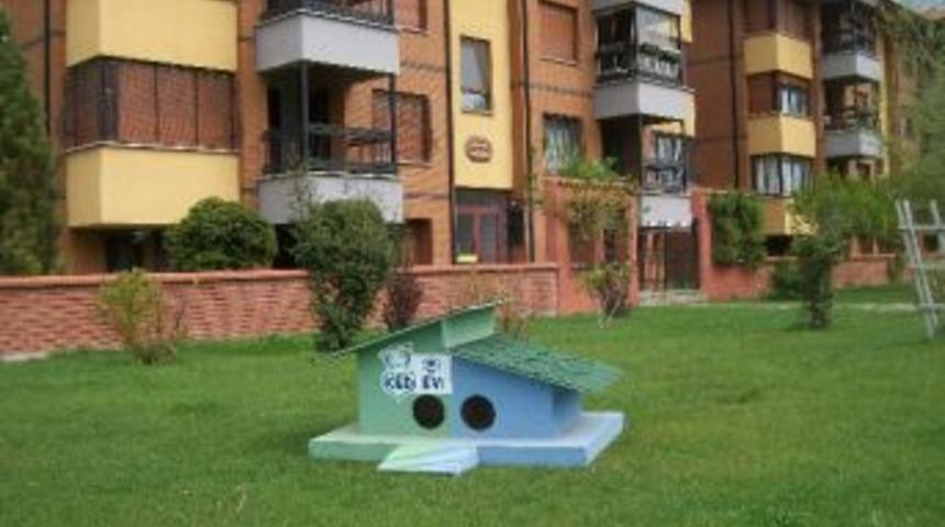 Odunpazarı'ndaki Sokak K&ouml;pekleri 'ev'lendi