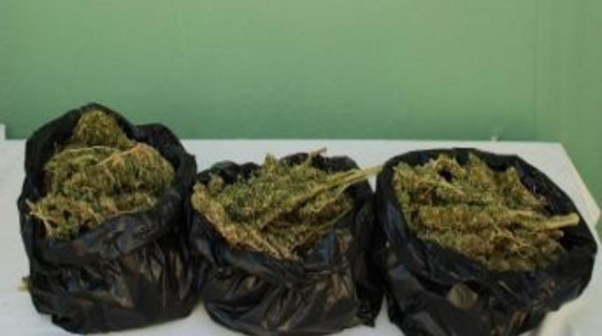 Nizip'te 6 Kilo Esrar Ele Ge&ccedil;irildi