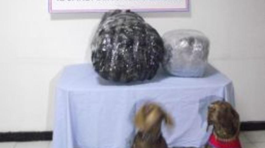 Malatya'da Esrar Ve Kaçak Sigara Ele Geçirildi