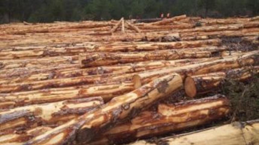 Ara&ccedil;&rsquo;ta Devrik &Uuml;retimleri Kontrol Edildi