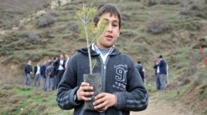 Tatvan&rsquo;da Kutlu Doğum Adına 571 Ağa&ccedil; Toprakla Buluştu