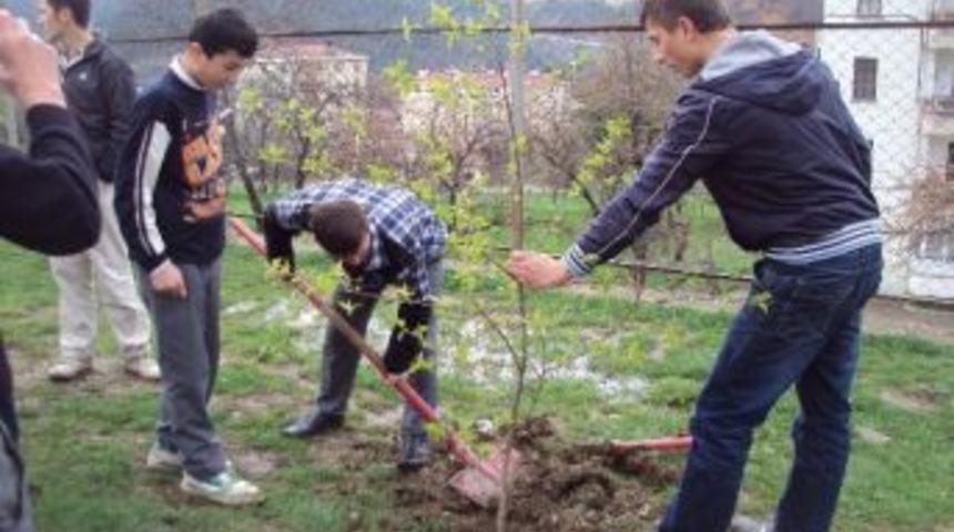 K&uuml;re &Ccedil;pl &Ouml;ğrencileri Okul Bah&ccedil;esine Meyve Fidanı Dikti
