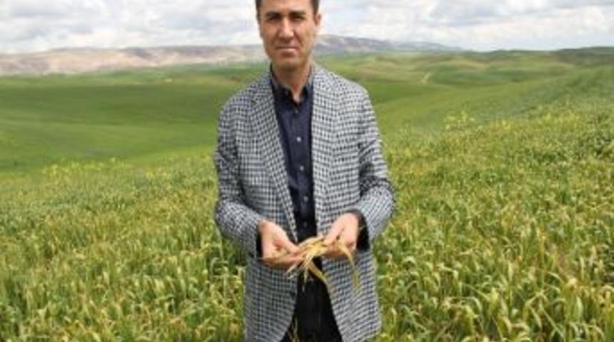 Silvan&rsquo;da &Ccedil;ift&ccedil;iler Dertli