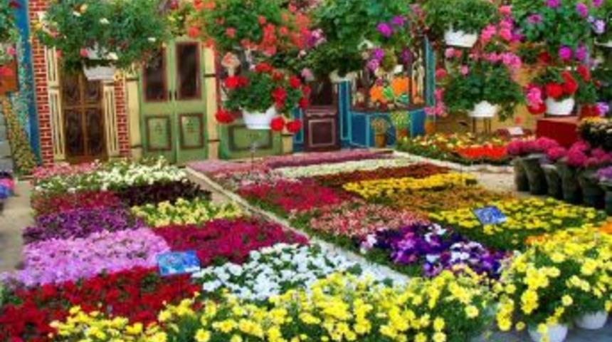 Bayındır &Ccedil;i&ccedil;ek Festivali&rsquo;ne 800 Bin Kişi Bekleniyor