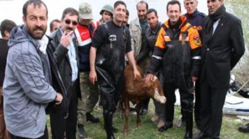 Muradiye&rsquo;de Dana Kurtarma Operasyonu