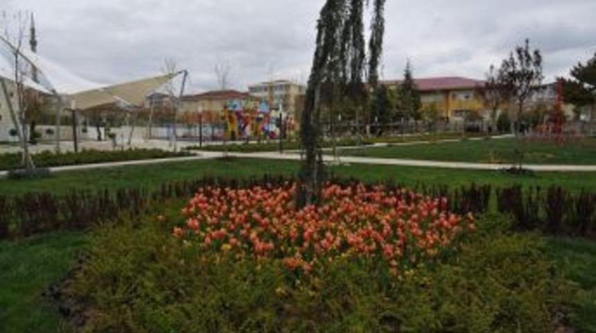 Lalelerle Kırşehir Farklı Bir G&ouml;r&uuml;n&uuml;me Kavuştu