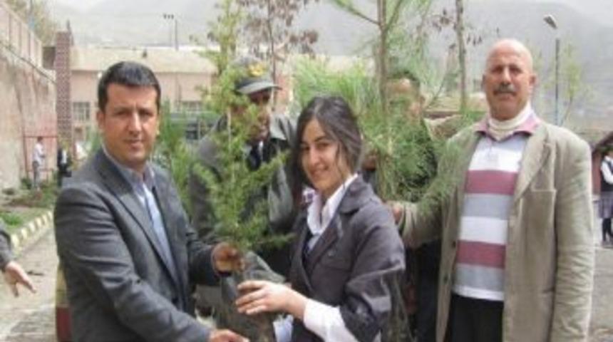 Hakkari&rsquo;de Ağa&ccedil;landırma &Ccedil;alışmaları