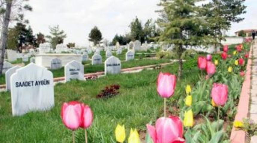 Sivas Belediyesi&rsquo;nden Her Mezara Bir G&uuml;l